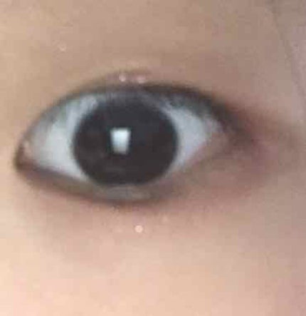 アイシャドウセット/クレアーズ/ジェル・クリームアイシャドウを使ったクチコミ(2枚目)