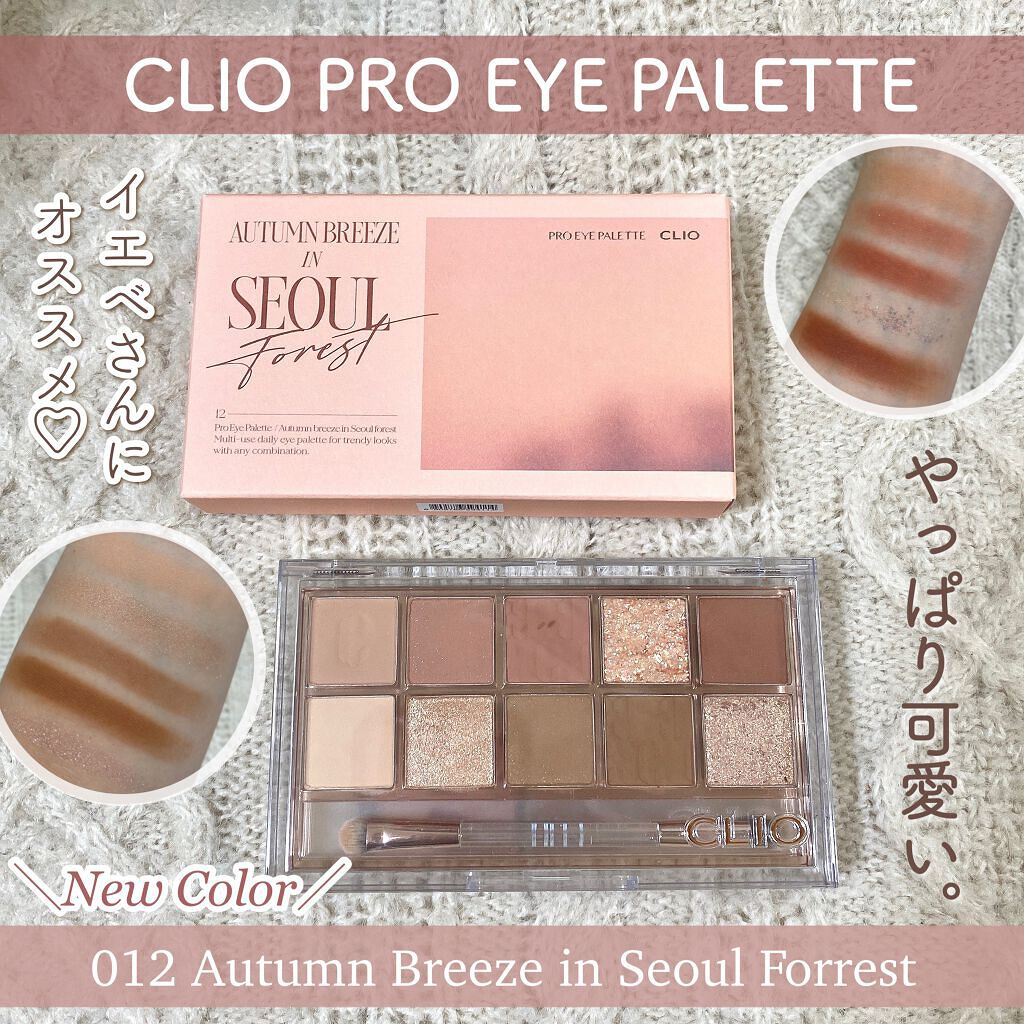プロ アイ パレット/CLIO/アイシャドウパレットを使ったクチコミ(1枚目)