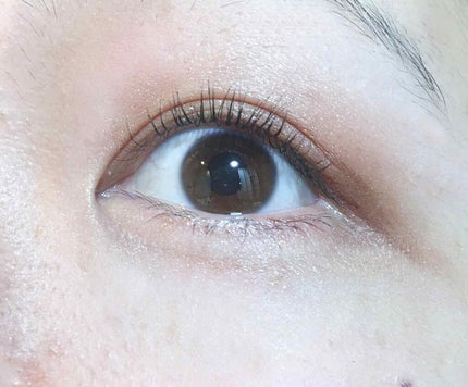 スキニーリッチシャドウ/excel/アイシャドウパレットを使ったクチコミ(3枚目)