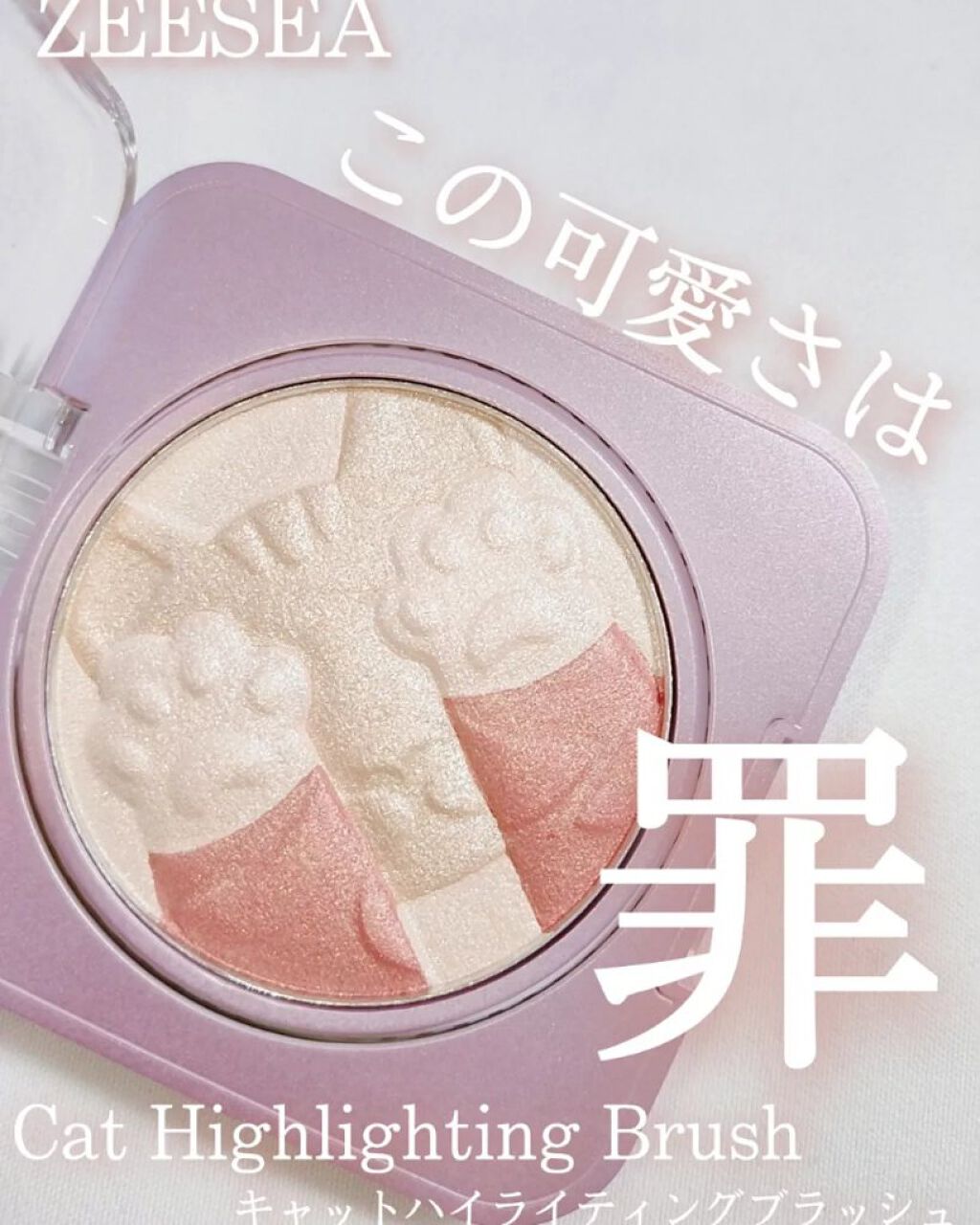 キャットハイライティングブラッシュ/ZEESEA/パウダーハイライトを使ったクチコミ（1枚目）