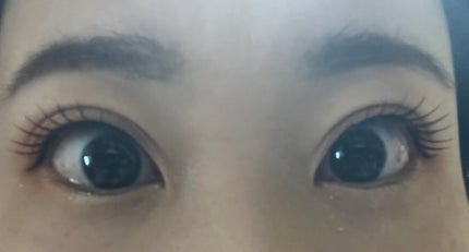 アニマルアイシャドウ(4シェード) D02 素直/ZEESEA/アイシャドウパレットの画像