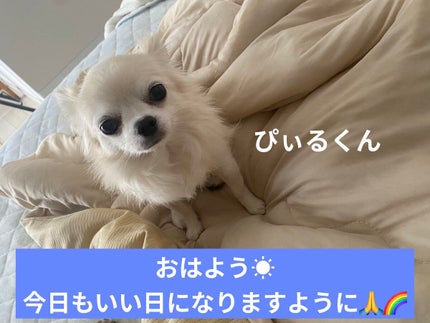 カラフルネイルズ/キャンメイク/マニキュアを使ったクチコミ(6枚目)