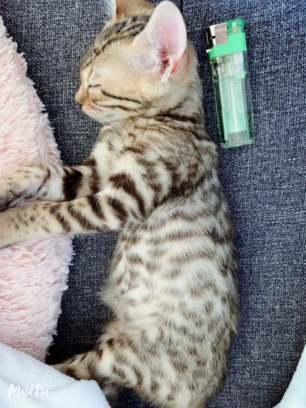 「密着アイライナー」クリームペンシル/デジャヴュ/ペンシルアイライナーを使ったクチコミ(8枚目)