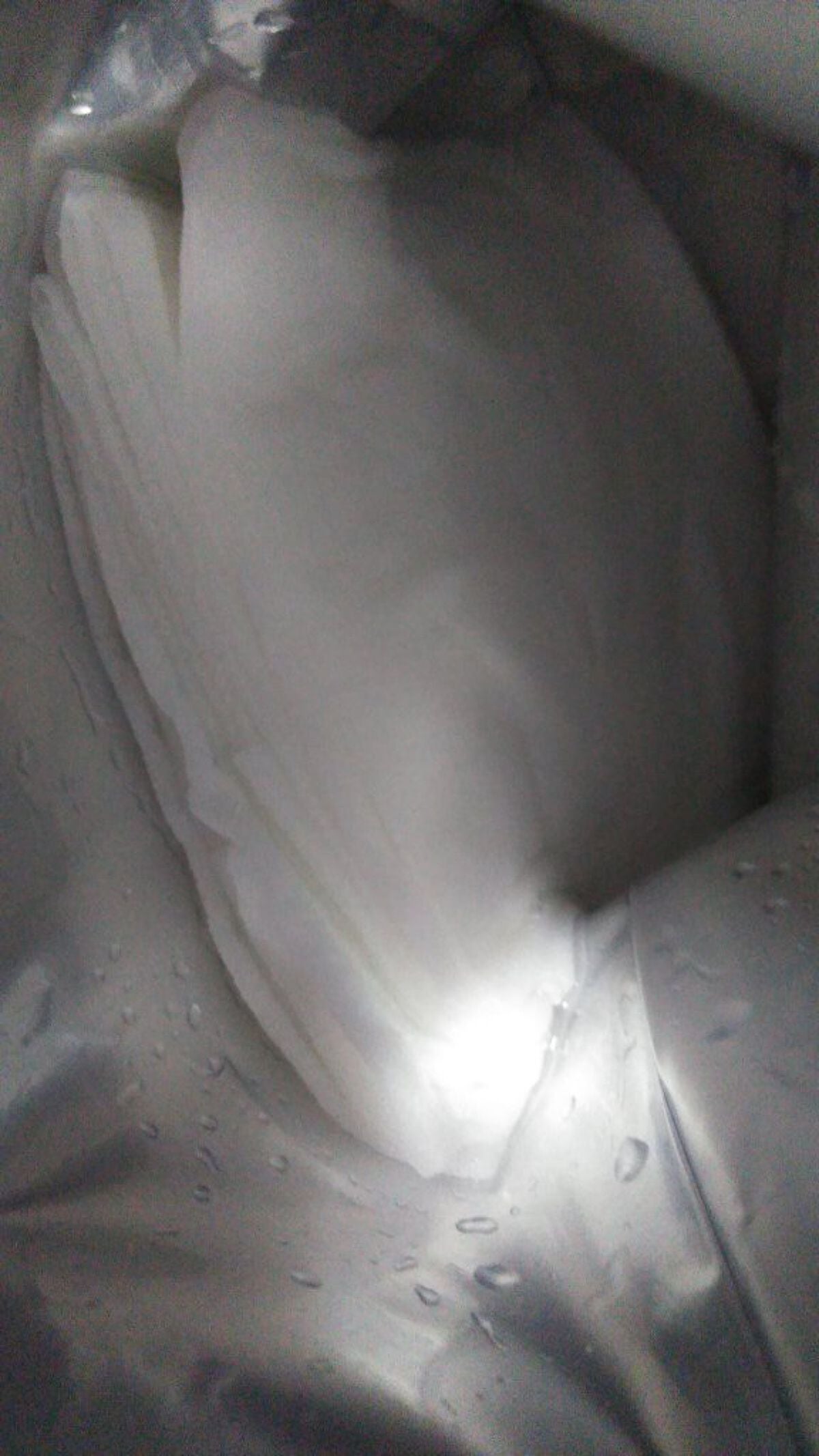 7days フェイシャルソリューションマスク コンブチャ/Dr.DERMAL/シートマスク・パックを使ったクチコミ(3枚目)