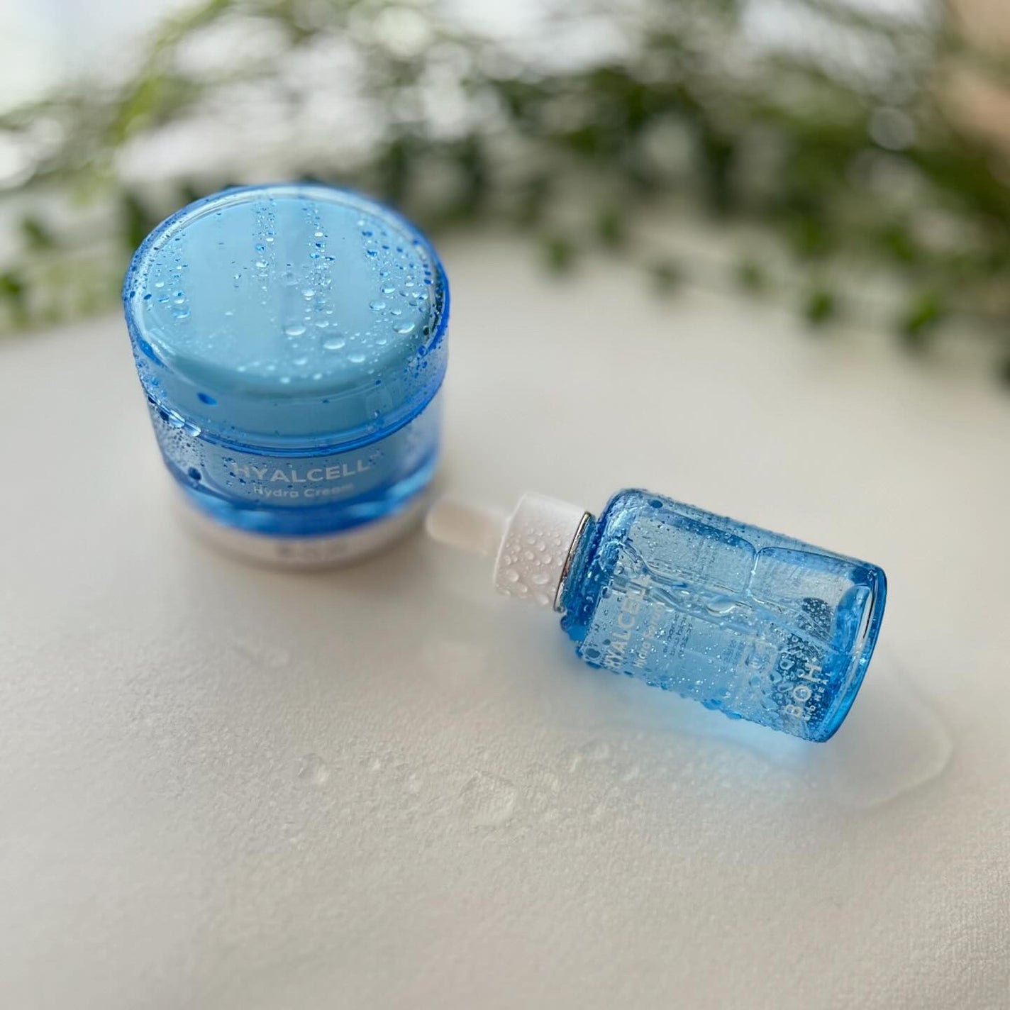 chimmy on LIPS 「━━━━━━━━━━━━━━━━BIOHEALBOHHYALC..」(1枚目)