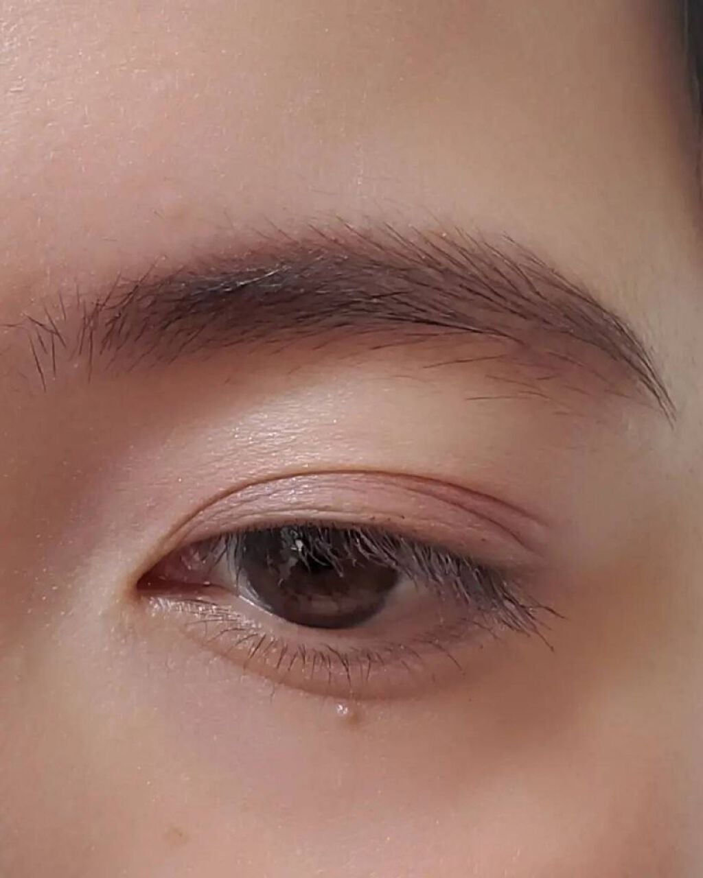 フーミー アイブロウパウダー/WHOMEE/パウダーアイブロウを使ったクチコミ(7枚目)