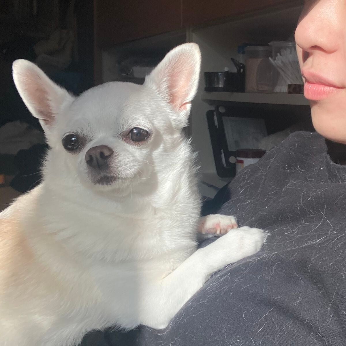 しに子ちゃん on LIPS 「コーヒーメーカー買ったった。全自動!マグニフィカくん!タイマー..」(5枚目)