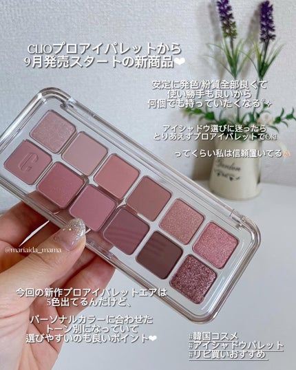 プロ アイ パレット/CLIO/アイシャドウパレットを使ったクチコミ(2枚目)