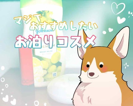 スキンケアパウダー/素肌記念日/プレストパウダーを使ったクチコミ(1枚目)