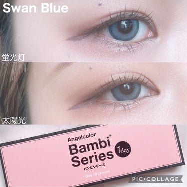 Angelcolor Bambi Series 1day /AngelColor/ワンデー（１DAY）カラコンを使ったクチコミ（2枚目）