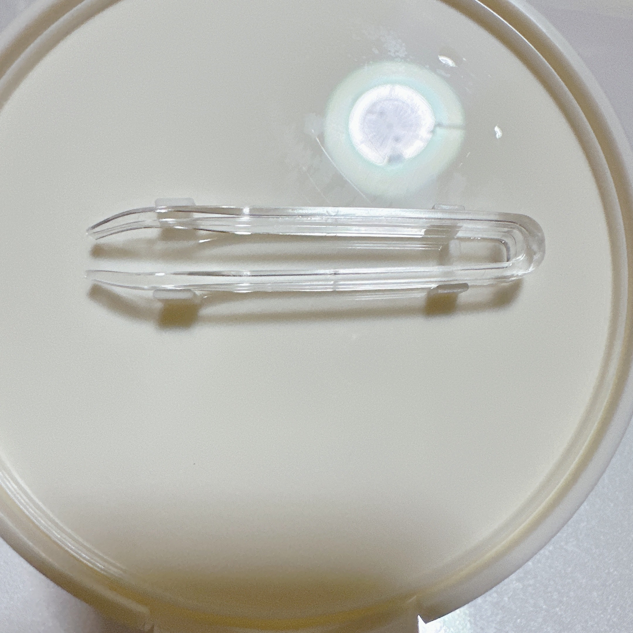 リフレッシュ トナーパッド (B)/I'm from/トナーパッドを使ったクチコミ（3枚目）