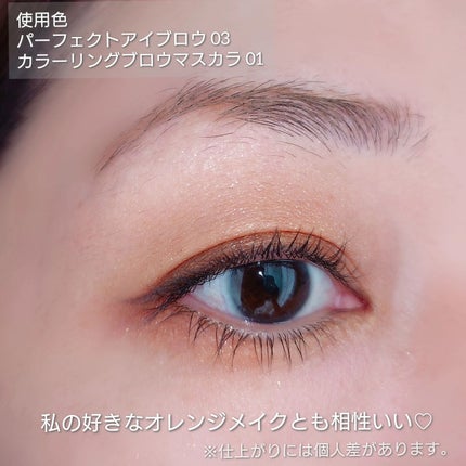 サナ ニューボーン パーフェクトアイブロウ/サナ ニューボーン/アイブロウペンシルを使ったクチコミ(9枚目)