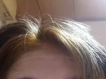 カラートリートメント ライトブラウン/サイオス/ヘアカラーの画像