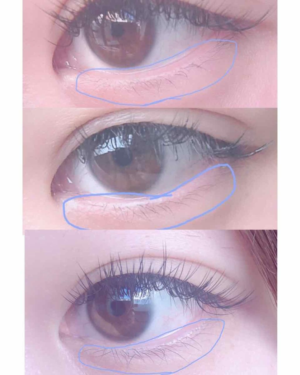 エグータム/アルマダスタイル/まつげ美容液を使ったクチコミ（1枚目）