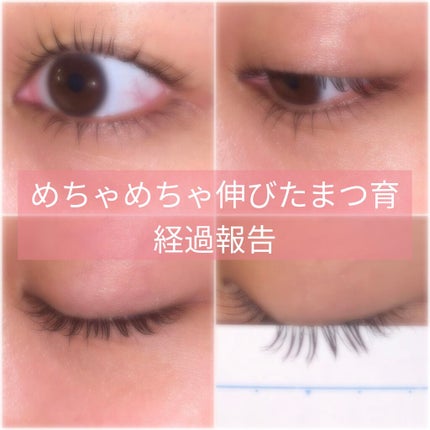 ラッシュアディクト アイラッシュコンディショニングセラム/soaddicted/まつげ美容液を使ったクチコミ(1枚目)
