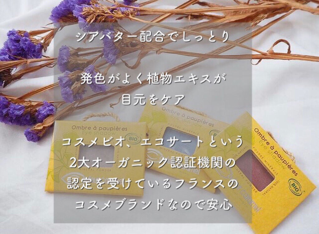 アイシャドウ/クルールキャラメル/単色アイシャドウを使ったクチコミ(3枚目)