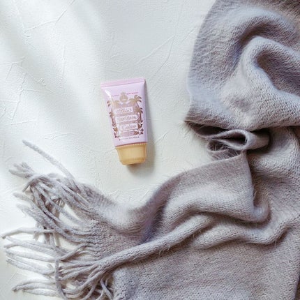 スキンナビゲートカラー/MAJOLICA MAJORCA/化粧下地を使ったクチコミ(1枚目)