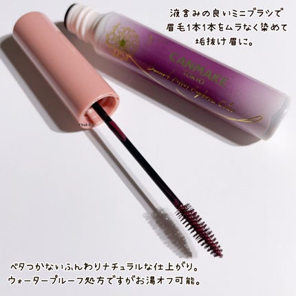 スマートミニアイブロウカラー N02 おしゃれパープル/キャンメイク/眉マスカラを使ったクチコミ(3枚目)