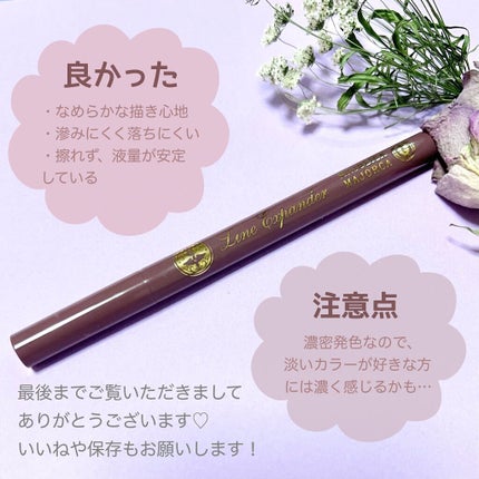 ラインエキスパンダー /MAJOLICA MAJORCA/リキッドアイライナーを使ったクチコミ(5枚目)