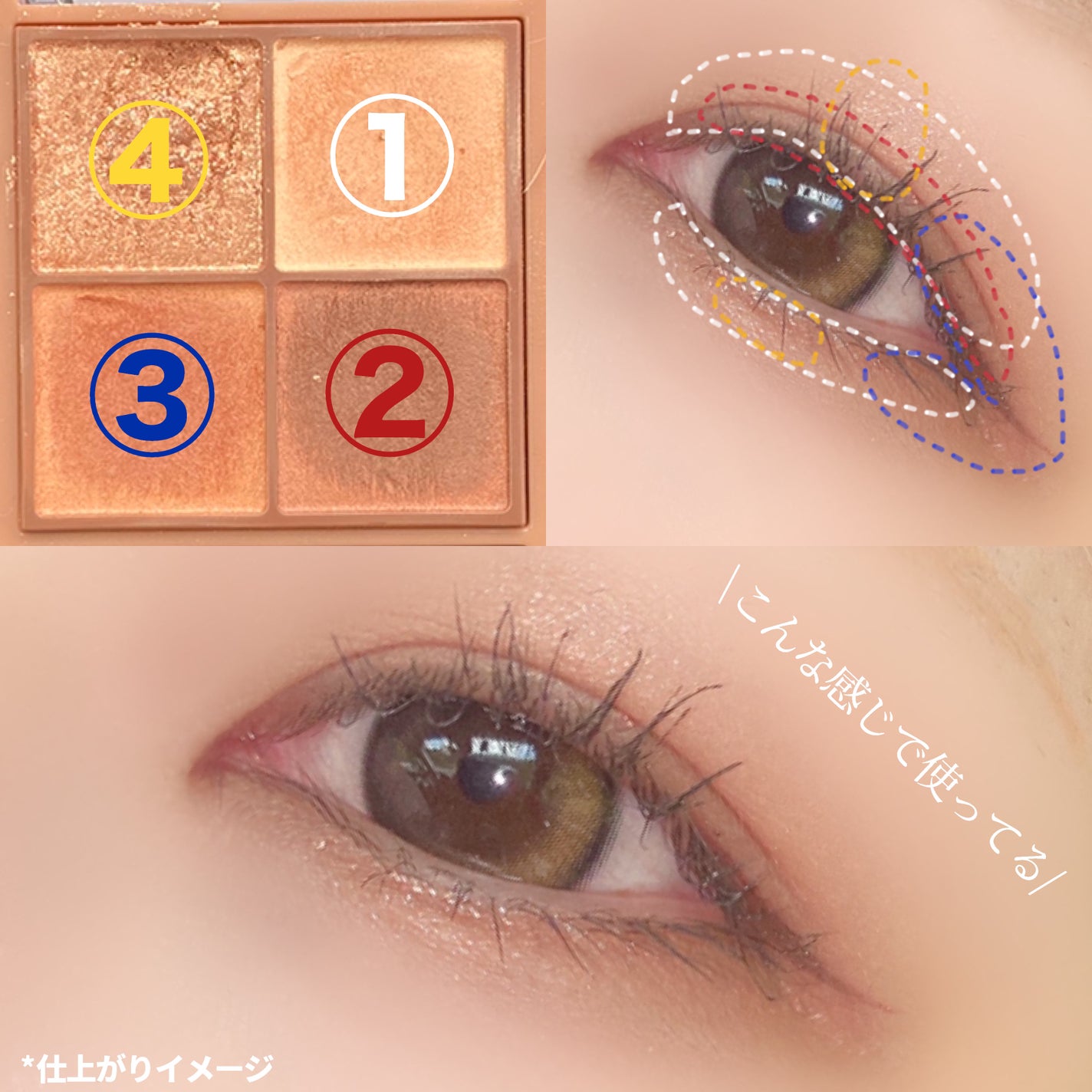 ビタートーンアイシャドウ/CEZANNE/パウダーアイシャドウを使ったクチコミ(2枚目)