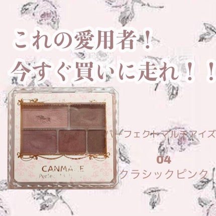 パーフェクトマルチアイズ/キャンメイク/アイシャドウパレットを使ったクチコミ(1枚目)