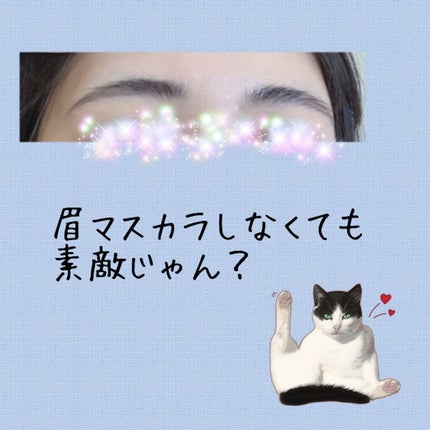 スリムスケッチアイブロウペンシル/U R GLAM/アイブロウペンシルを使ったクチコミ(1枚目)