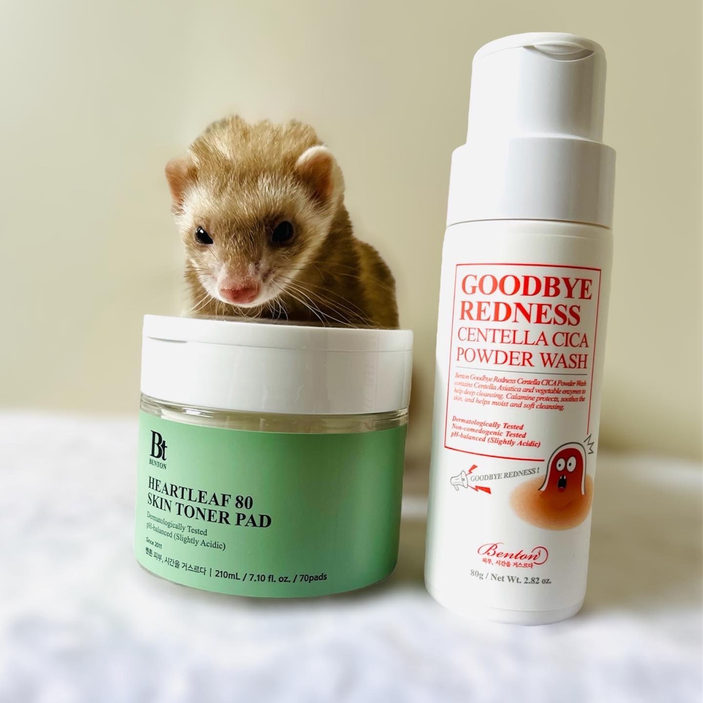 グッバイレッドネス センテラ パウダーウォッシュ 80g/BENTON/洗顔パウダーを使ったクチコミ（3枚目）