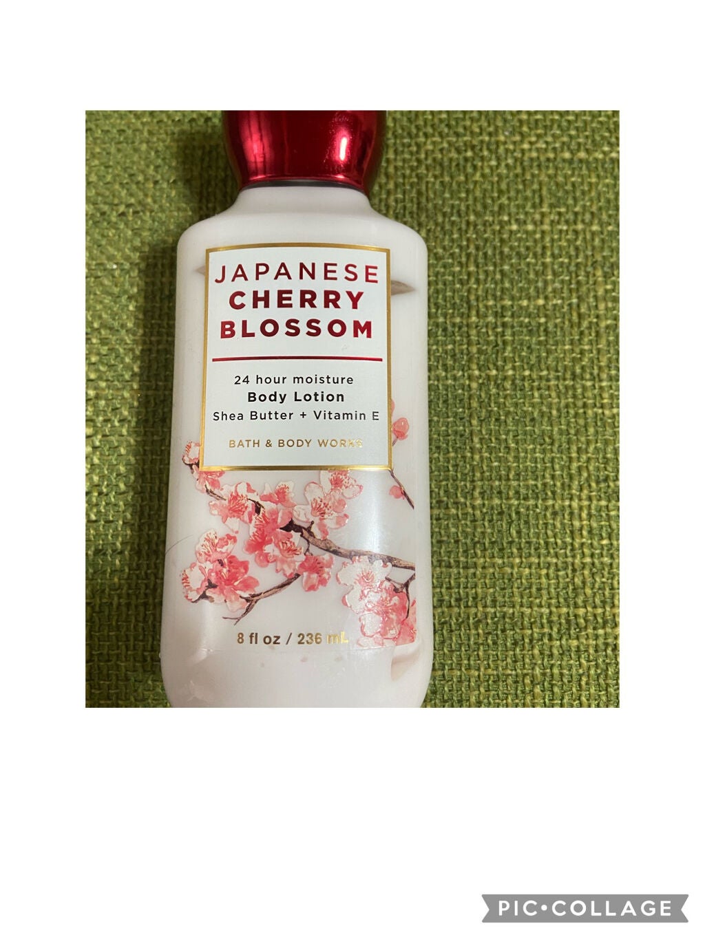 Japanese Cherry Blossom/BATH&BODY WORKS/香水(レディース)を使ったクチコミ(1枚目)