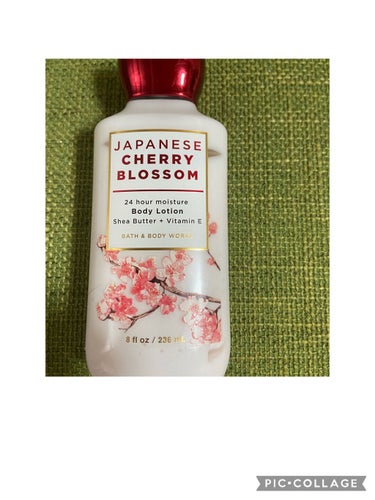 Japanese Cherry Blossom/BATH&BODY WORKS/香水(レディース)を使ったクチコミ（1枚目）