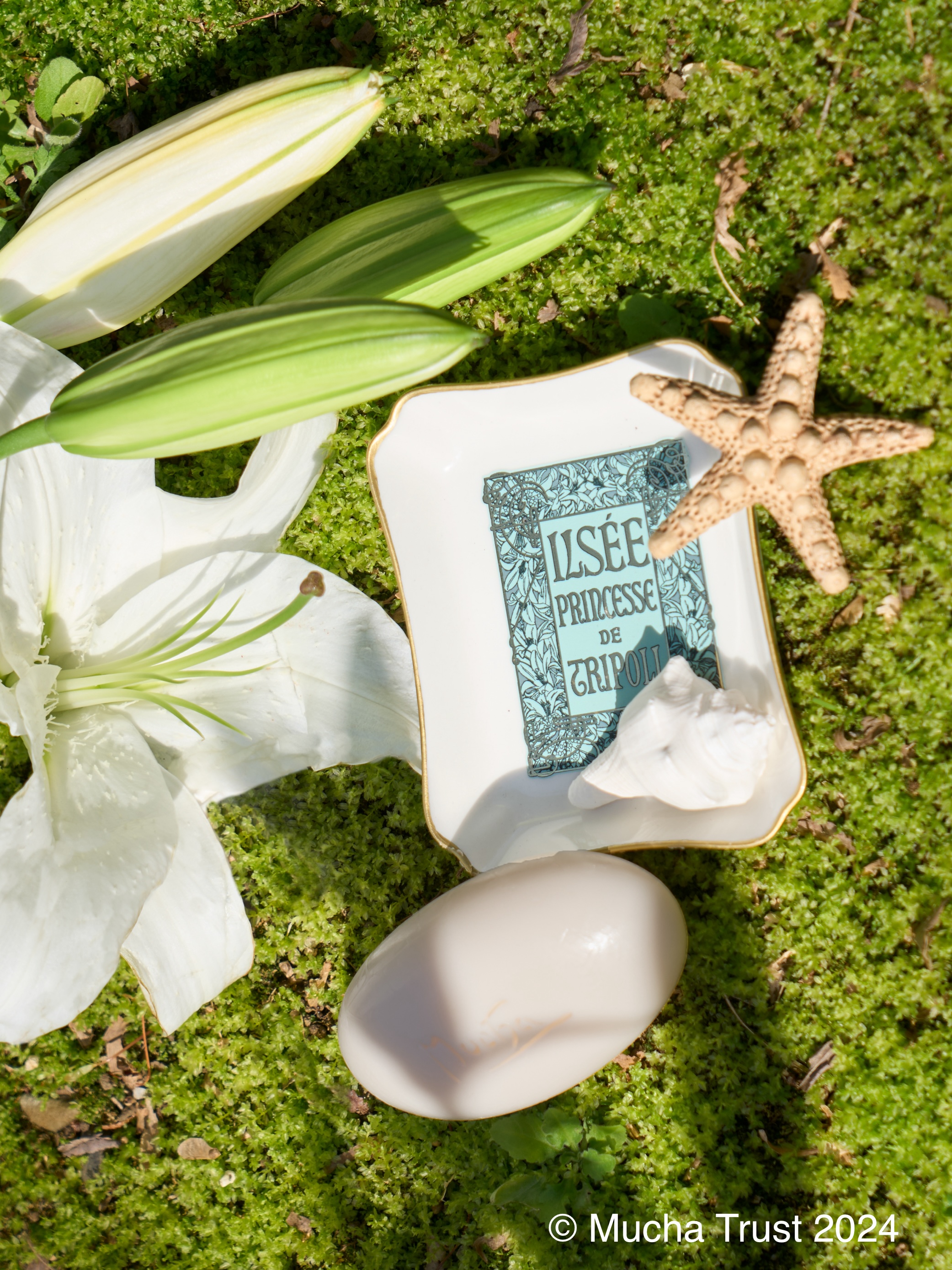 ミュシャ ハンド・ボディソープ＆マルチトレイキット