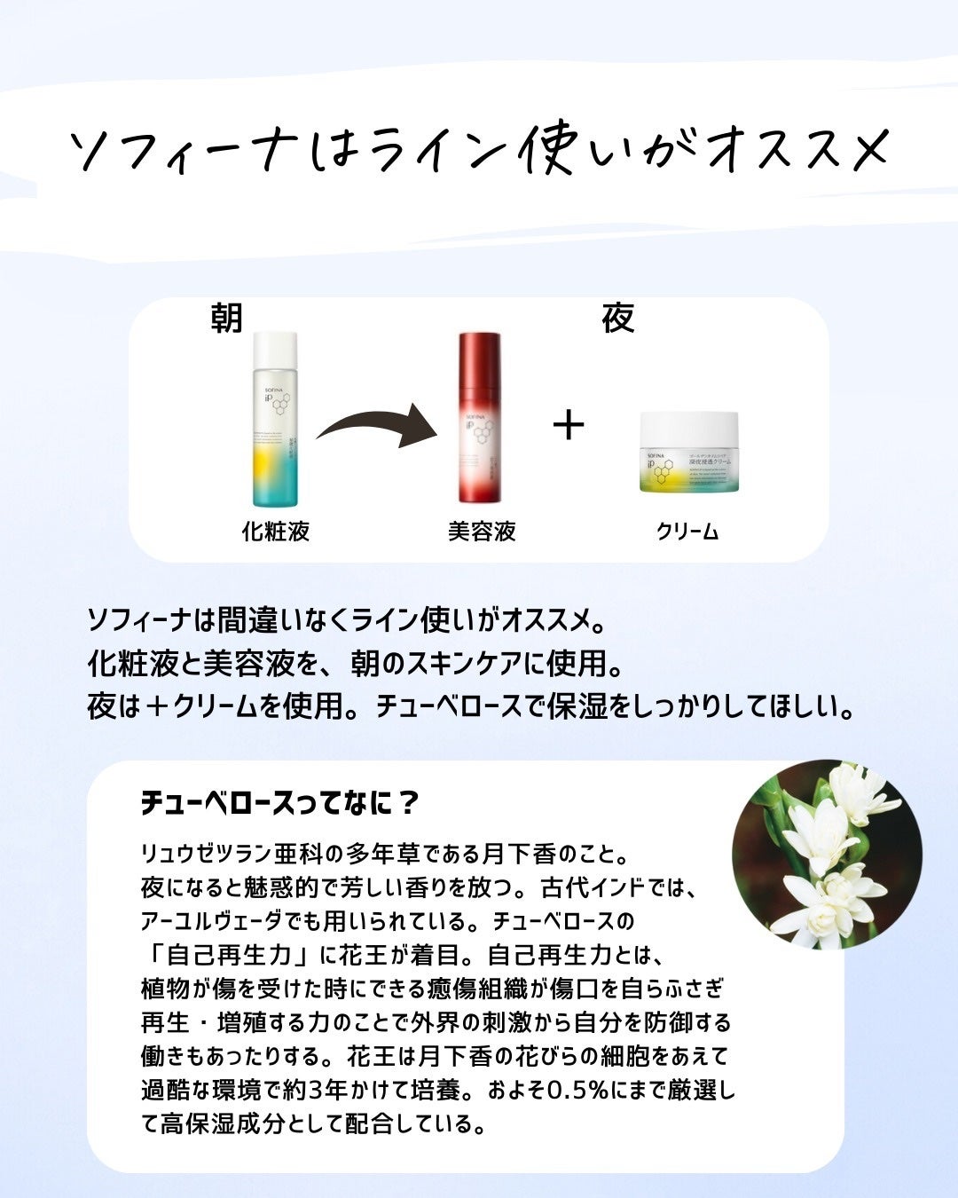 とまと村長@化粧品研究者 on LIPS 「ソフィーナが好き!!!人気のソフィーナは間違いなく秋冬にオスス..」(9枚目)