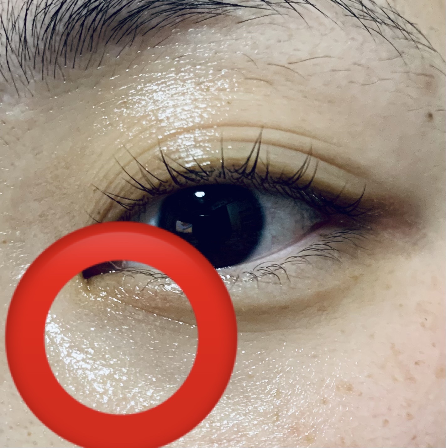 目元ふっくらクリーム NC/なめらか本舗/アイケア・アイクリームを使ったクチコミ（2枚目）