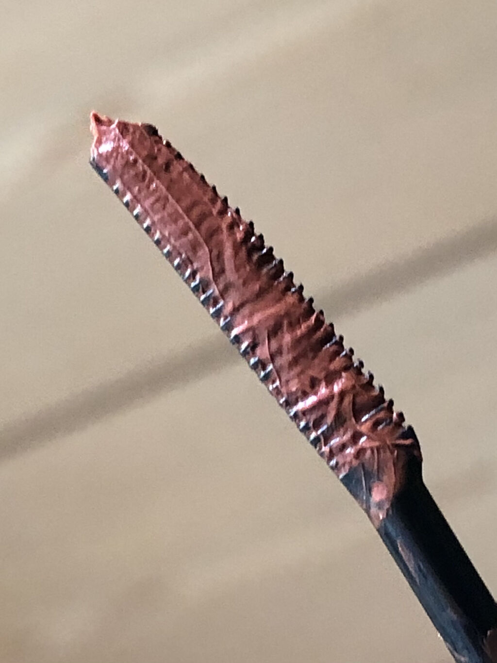 クイックラッシュカーラー/キャンメイク/マスカラ下地を使ったクチコミ（2枚目）