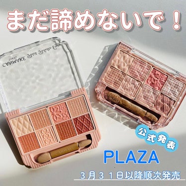 【キャンメイク プティパレットアイズ】

値段：1,078円(税込)
購入場所：ロフト


----------------------------------------------------

突