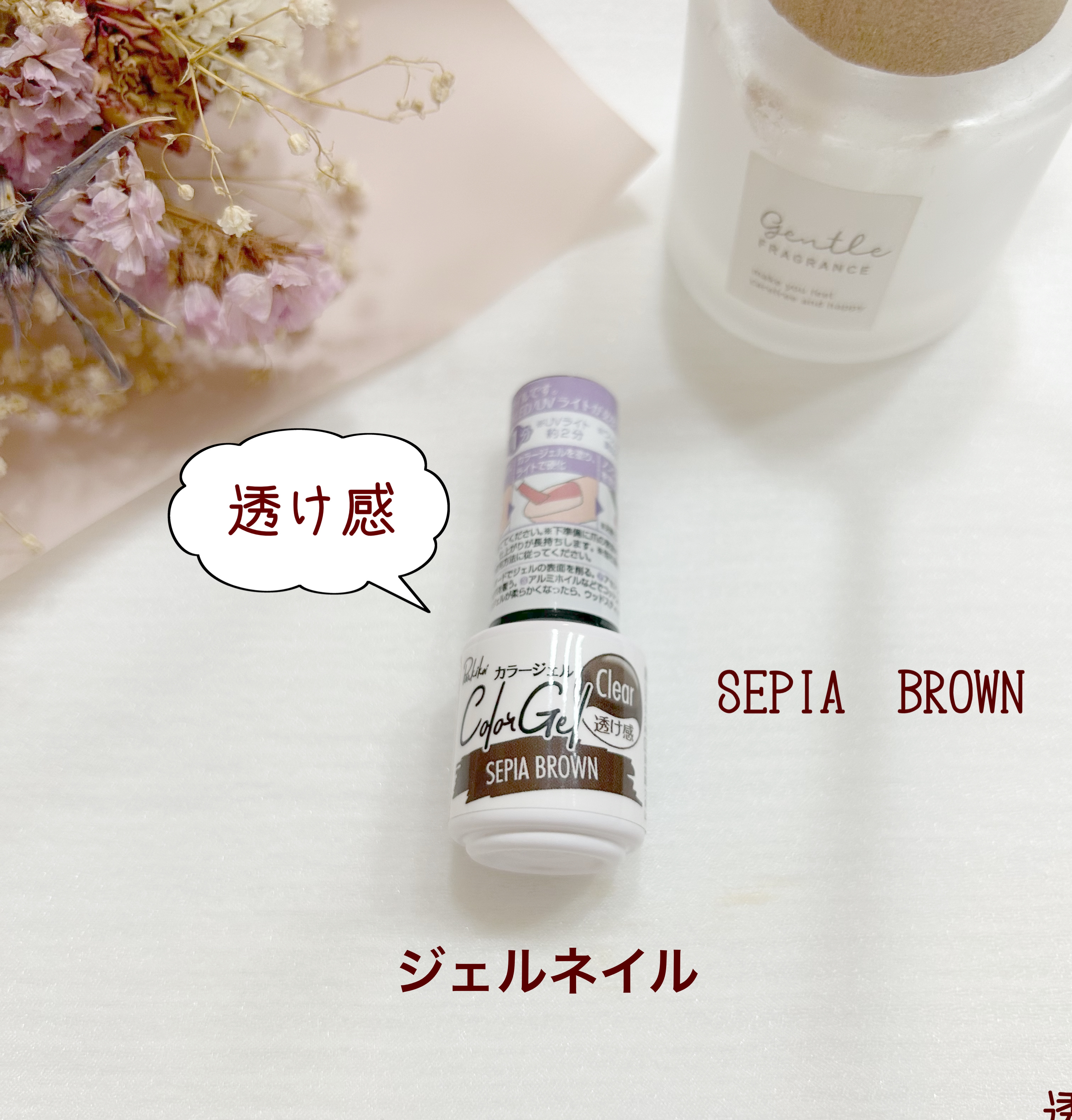 パル カラージェル セピアブラウン/キャンドゥ/ジェルネイルを使ったクチコミ（1枚目）