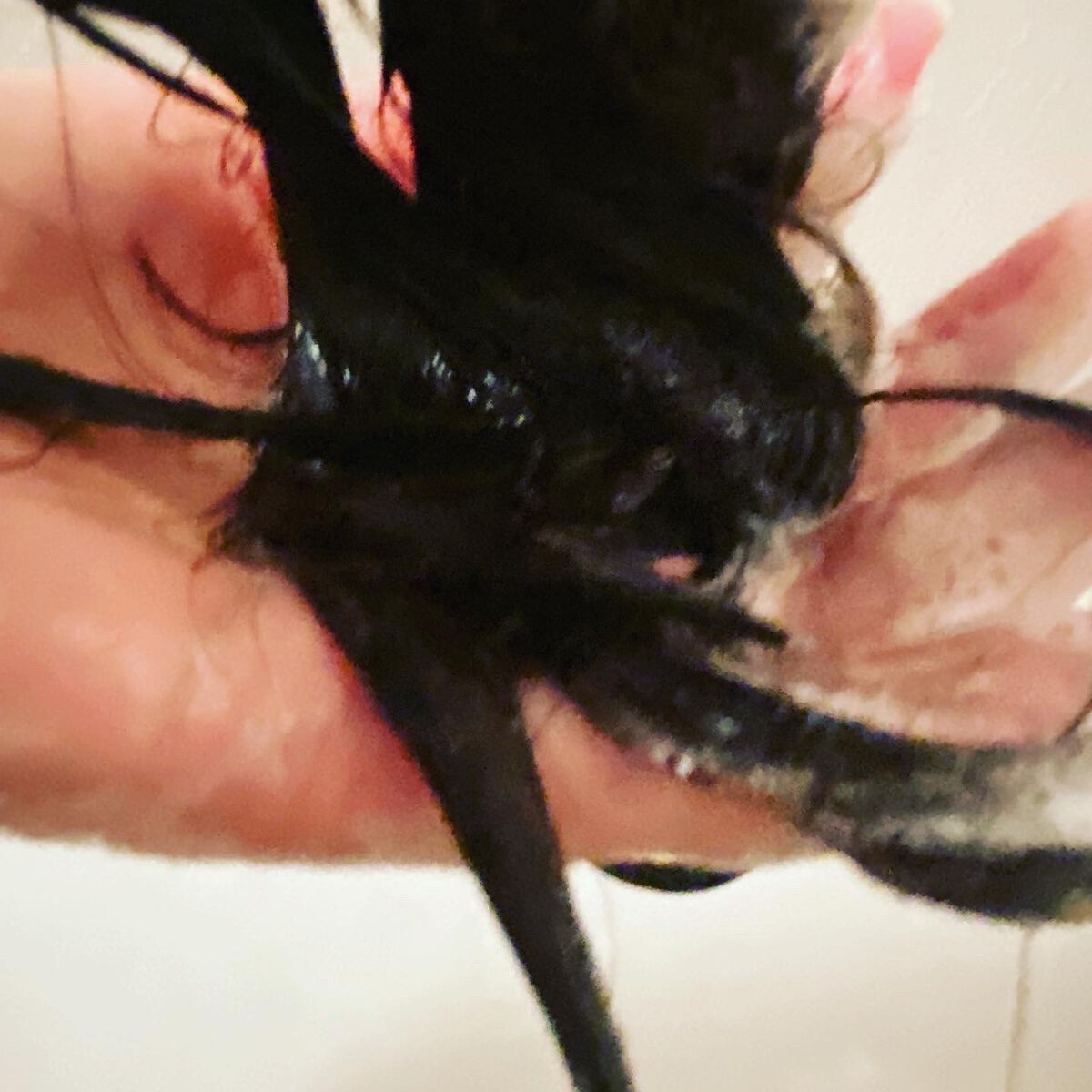 ボタニカルシャンプー/トリートメント(モイスト) /BOTANIST/シャンプー・コンディショナーを使ったクチコミ(5枚目)