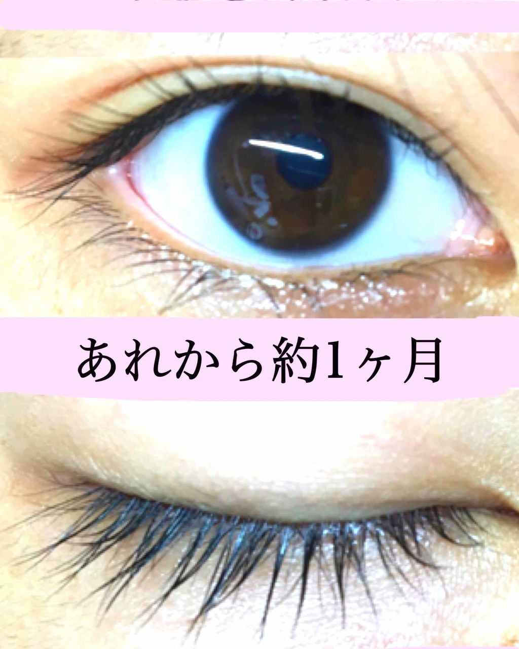 ローヤルゼリー配合 栄養ローション/DAISO/美容液を使ったクチコミ（3枚目）