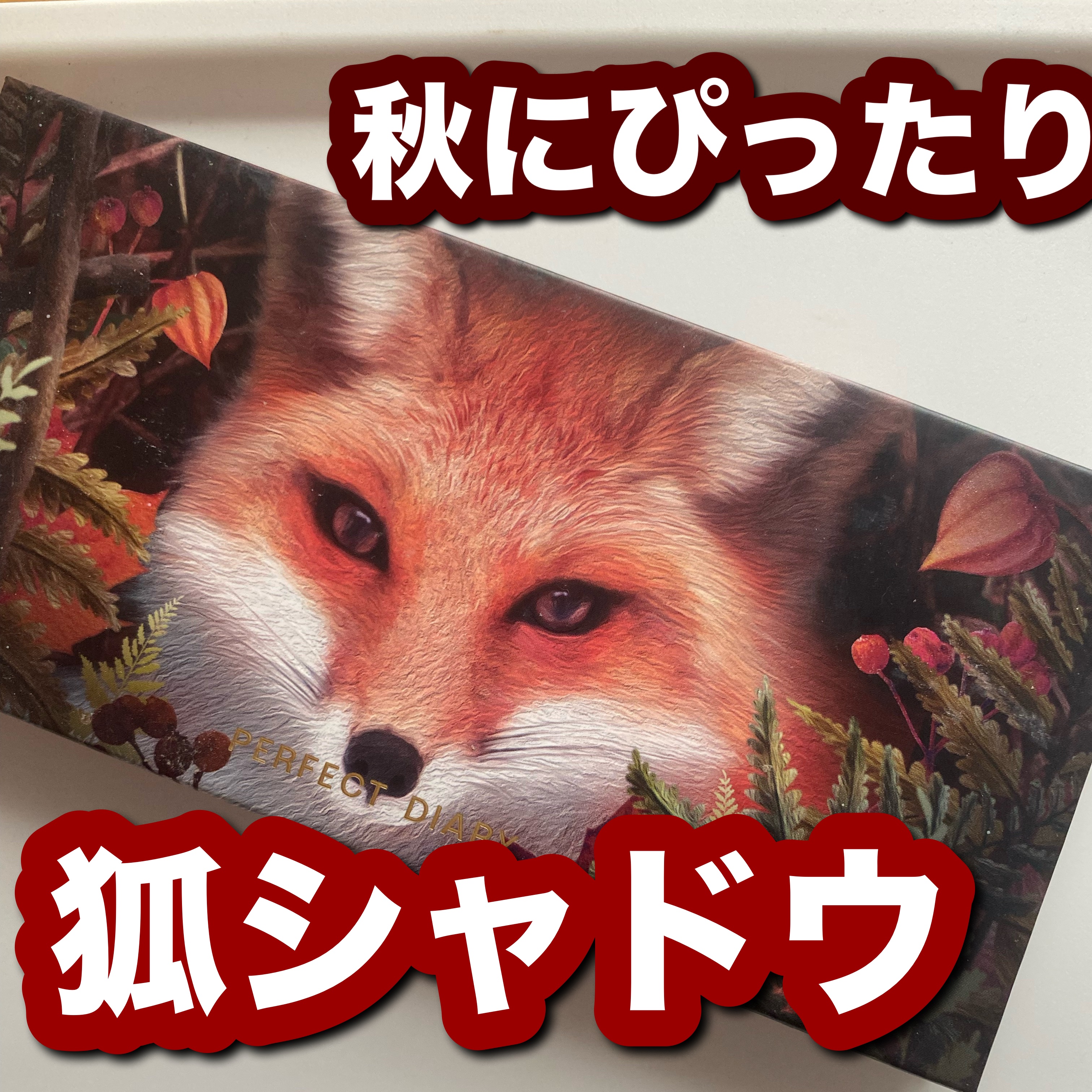 エクスプローラ12色 動物アイシャドウパレット/PERFECT DIARY/アイシャドウパレットを使ったクチコミ（1枚目）