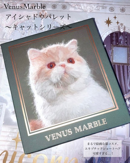 3CE フェイスブラッシュ/3CE/パウダーチークを使ったクチコミ(4枚目)