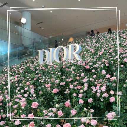 プレステージ マイクロ ユイル ド ローズ セラム/Dior/美容液を使ったクチコミ(2枚目)