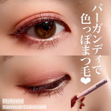 ナイントゥナイン サバイバルカラーカラ 02 Rosy Brown/lilybyred/マスカラを使ったクチコミ（1枚目）