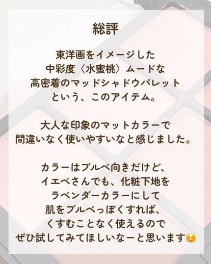 ブラーフィニシュシャドウパレット/Dinto/アイシャドウパレットを使ったクチコミ(6枚目)