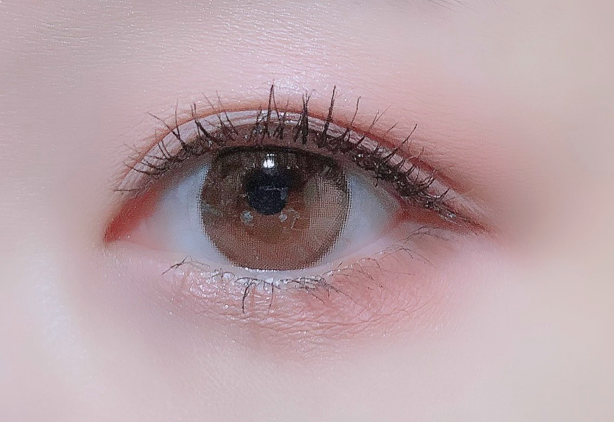 カクテルルーチェアイパレット 02 ローズムーン/haomii/マルチパレットを使ったクチコミ（3枚目）