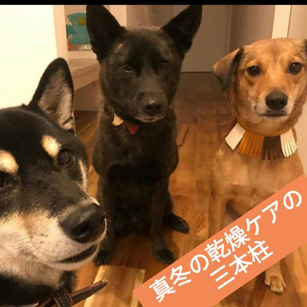 ニベアクリーム/ニベア/ボディクリームを使ったクチコミ（1枚目）