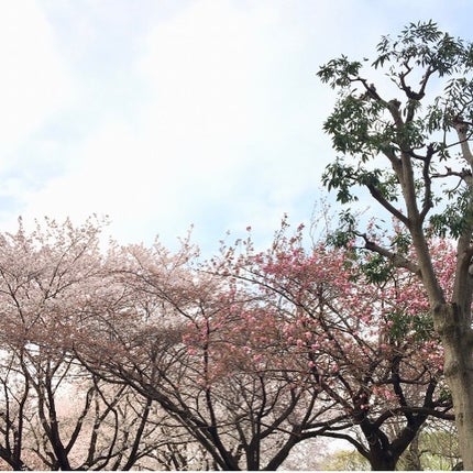 トーン ルミナイザー/to/one/クリームハイライトを使ったクチコミ(7枚目)