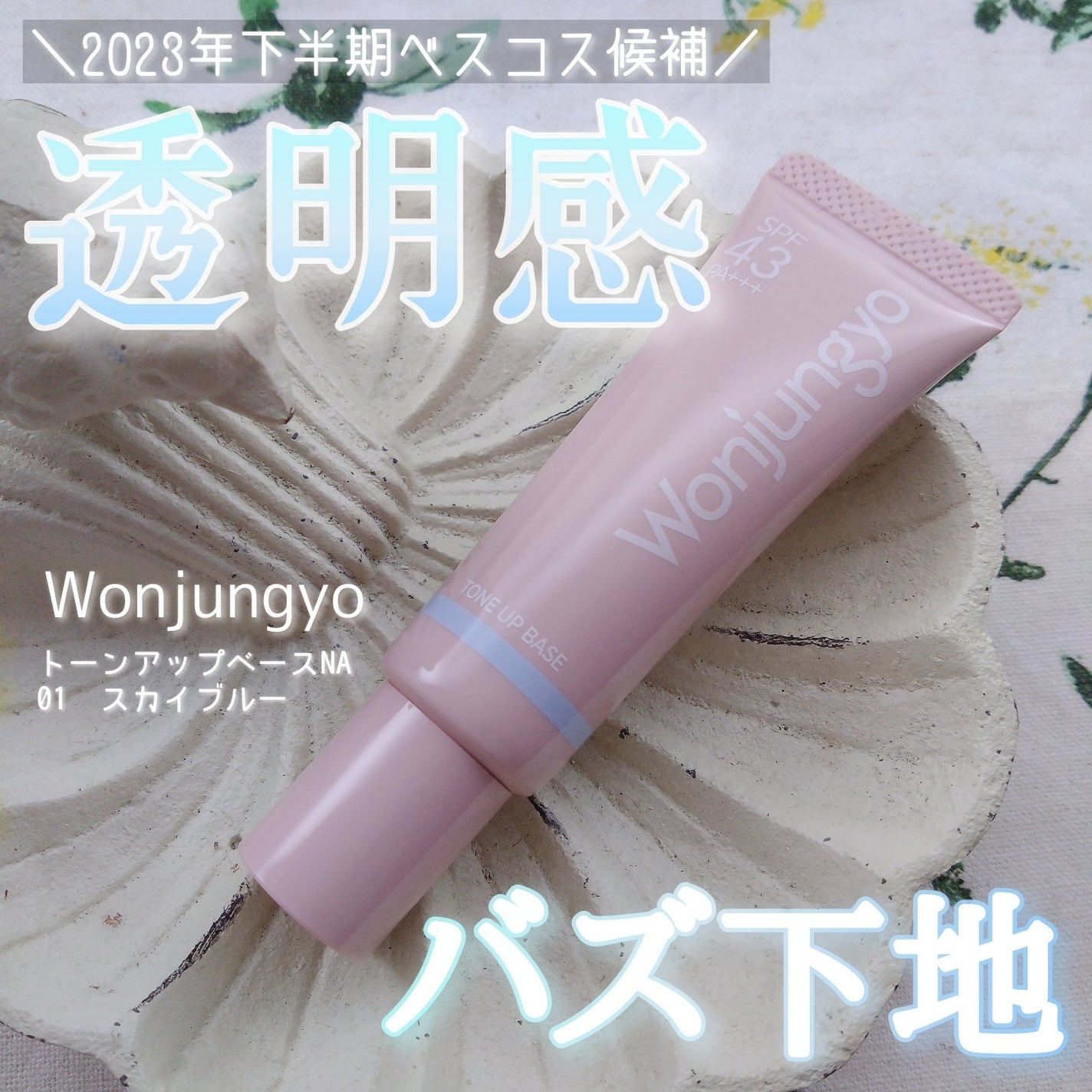 ウォンジョンヨ トーンアップベース NA/Wonjungyo/化粧下地を使ったクチコミ(1枚目)