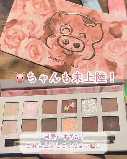 PERFECT DIARY (パーフェクトダイアリー)名刺リップ・トキメキ限定 113 ルビーザクロ/PERFECT DIARY/リップグロスの画像