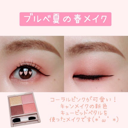 シルキースフレアイズ(マットタイプ)/キャンメイク/アイシャドウパレットを使ったクチコミ(1枚目)