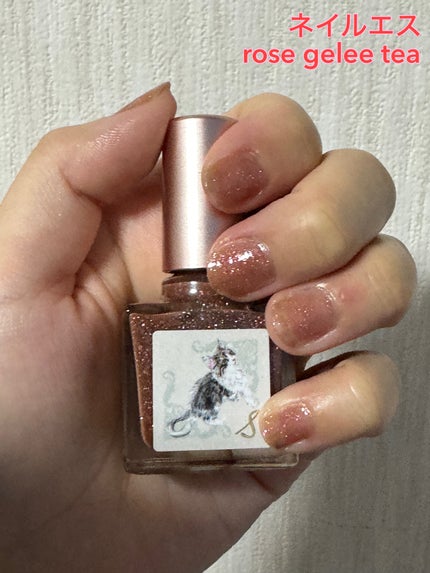 ネイルエス/ nail S(ネイルエス) /マニキュアを使ったクチコミ(1枚目)