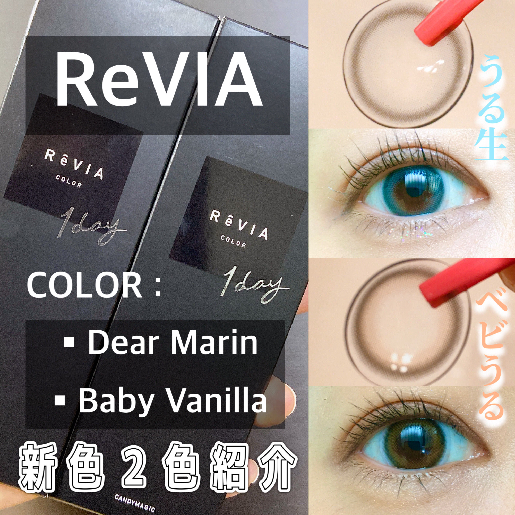 ReVIA 1day/ReVIA/ワンデー（１DAY）カラコンを使ったクチコミ（1枚目）